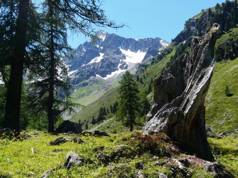 Pension Schoepf Arzl im Pitztal Dış mekan fotoğraf