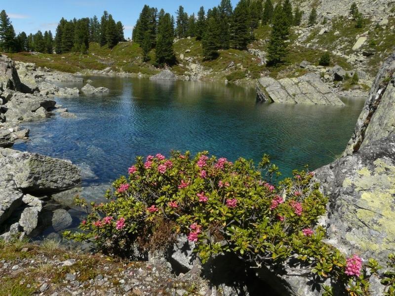 Pension Schoepf Arzl im Pitztal Dış mekan fotoğraf