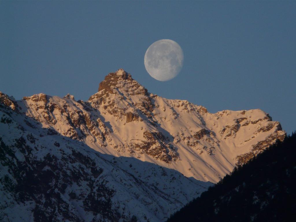 Pension Schoepf Arzl im Pitztal Dış mekan fotoğraf